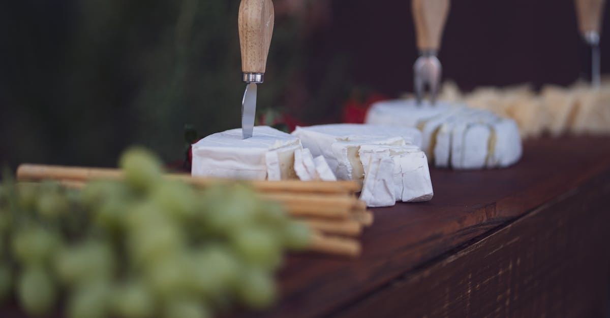 découvrez les différentes variétés, leurs caractéristiques uniques et comment choisir celle qui répond le mieux à vos besoins. explorez nos conseils pour faire le meilleur choix parmi toutes les options disponibles.