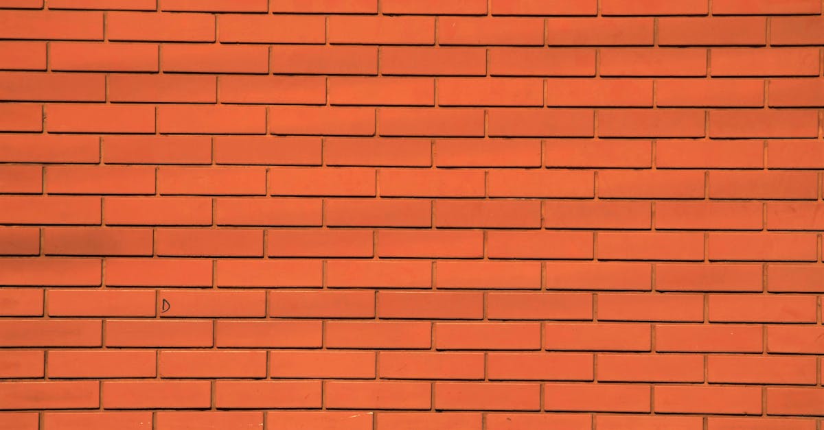 découvrez tout ce qu’il faut savoir sur les bricks : histoire, recettes, astuces de préparation et idées pour réinventer ce délicieux met croustillant venu du maghreb.