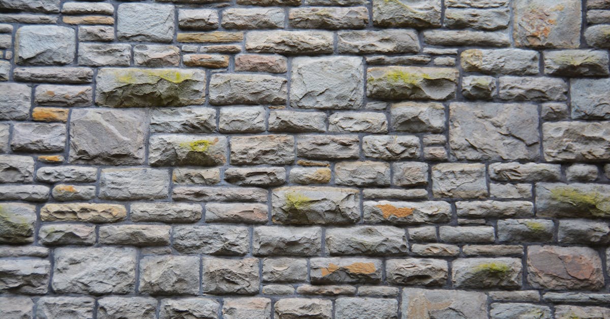 découvrez tout sur les bricks : recettes faciles, astuces de préparation et idées gourmandes pour savourer ces délicieuses feuilles farcies, croustillantes et parfaites en entrée ou en plat principal.