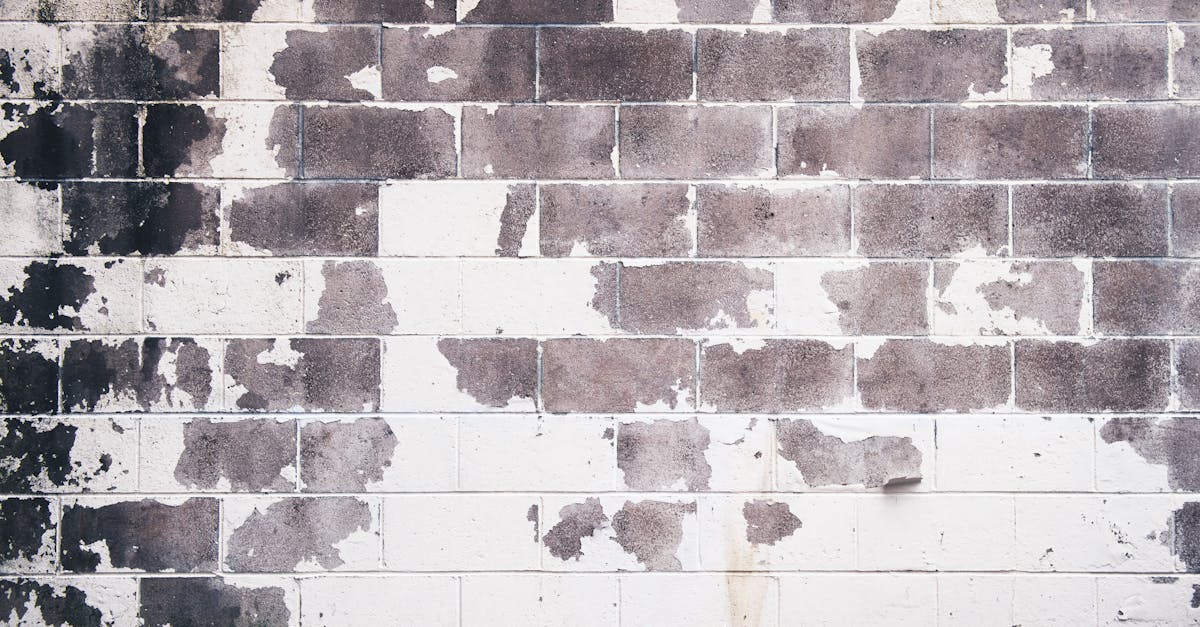 découvrez tout sur les cinder blocks : leurs usages, avantages, dimensions et conseils pour vos projets de construction ou de bricolage en béton.