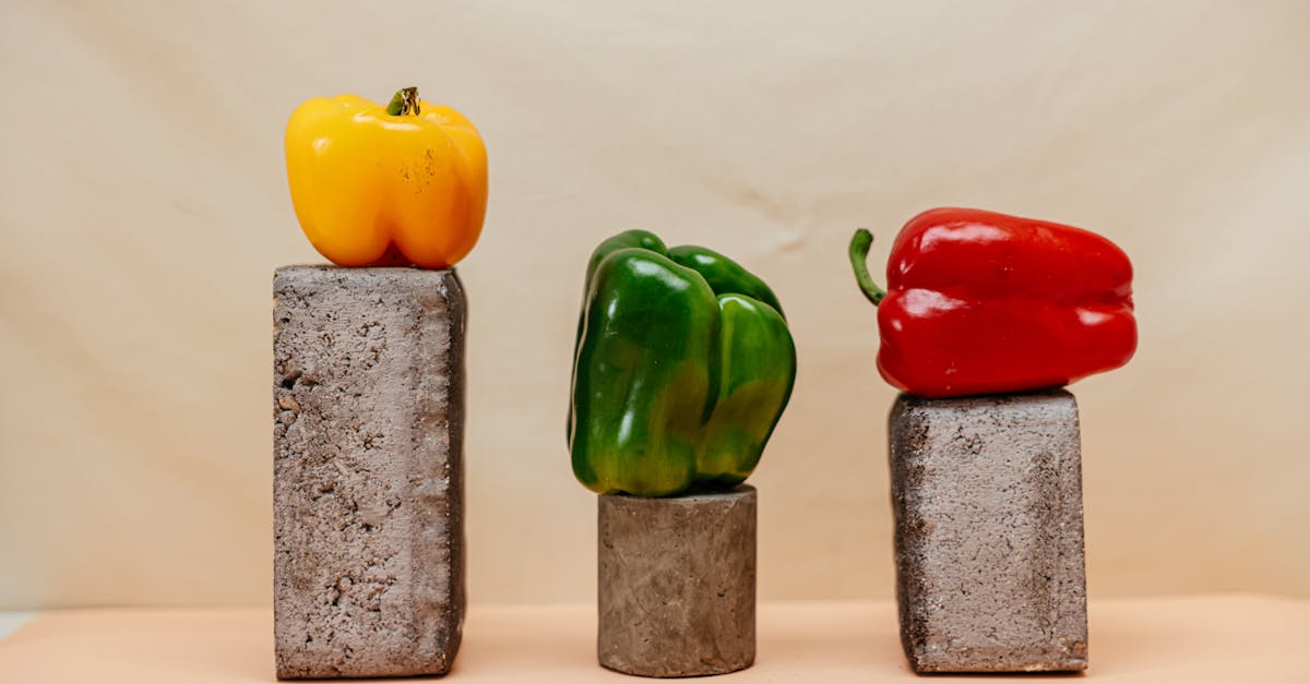 découvrez les blocs de béton : des matériaux robustes, économiques et polyvalents pour vos projets de construction, maçonnerie ou aménagement extérieur. conseils, utilités et avantages des blocs de béton.