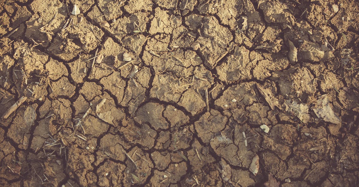 découvrez tout sur les cracks : définition, causes, solutions et conseils pour prévenir l'apparition de fissures sur diverses surfaces dans le bâtiment ou l'industrie.