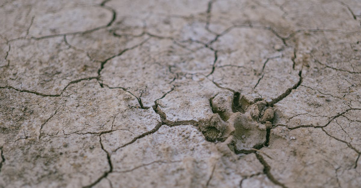 découvrez la signification, les causes et les solutions pour les fissures (« cracks ») dans différents contextes : bâtiment, informatique et linguistique. conseils d'experts, prévention et réponses à vos questions sur les cracks.