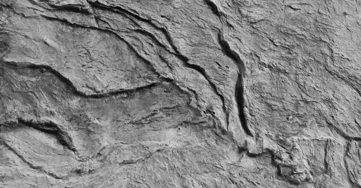 découvrez tout ce qu’il faut savoir sur les cracks : définition, causes, solutions et conseils pour mieux les identifier et prévenir leur apparition dans divers contextes.