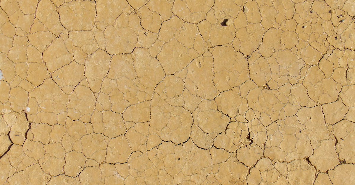 découvrez tout sur les cracks : définition, causes, conséquences et solutions pour prévenir et traiter les fissures dans différents contextes, qu'ils soient techniques, artistiques ou sportifs.