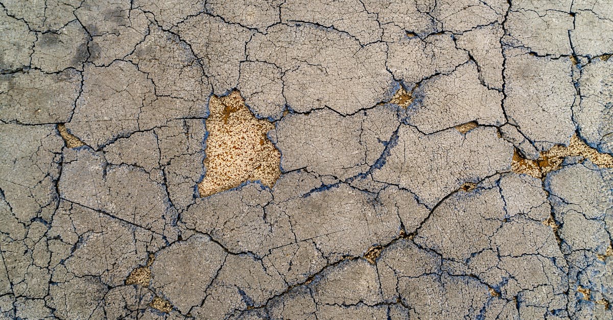 découvrez l'art des murs en pierre sèche : techniques ancestrales, avantages écologiques et conseils pour construire ou restaurer un mur sans mortier, parfait pour sublimer votre jardin ou votre paysage.