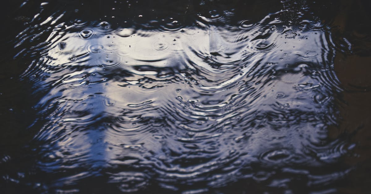 découvrez ce qu'est un flood, ses causes, ses conséquences et les solutions pour prévenir les inondations. informez-vous sur la gestion des risques liés au flood dans notre article détaillé.