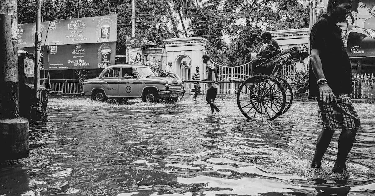 découvrez tout ce qu'il faut savoir sur les inondations : causes, conséquences et solutions pour prévenir et limiter les dégâts liés au flood. protégez-vous et restez informé !