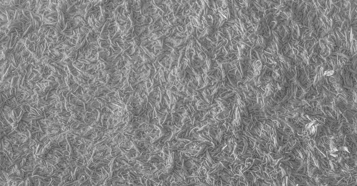 découvrez comment choisir la couleur de revêtement de sol idéale pour chaque pièce de votre maison et créez une ambiance harmonieuse grâce à nos conseils pratiques sur les tendances et associations de couleurs.