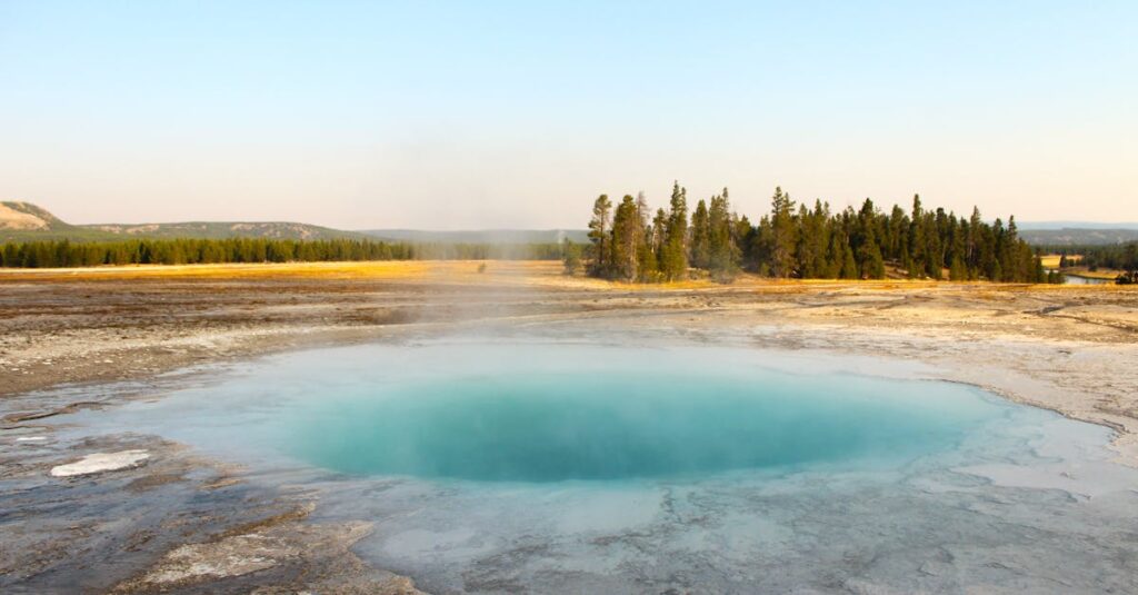 Tout savoir sur les piscines creusées : budget, bénéfices, critères de choix, étapes d’installation et équipements indispensables découvrez les avantages des piscines creusées : design, durabilité et confort. conseils, idées d'aménagement et guide pour choisir la piscine enterrée idéale pour votre jardin.