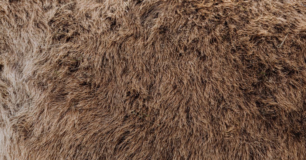 découvrez tout ce qu'il faut savoir sur l'isolation : techniques, matériaux, avantages et conseils pour améliorer l'efficacité énergétique de votre maison ou bâtiment.