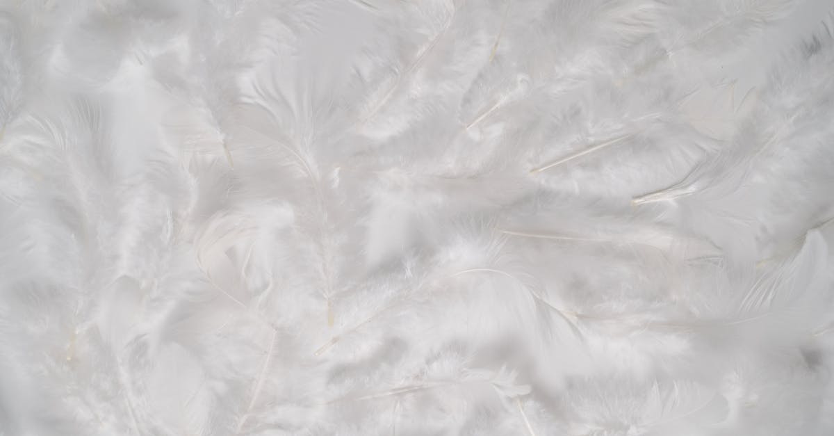 découvrez l'isolation thermique et acoustique pour votre maison ou bâtiment. bénéficiez d'un confort optimal, de réductions sur vos factures d'énergie et d'une meilleure performance énergétique grâce à des solutions d'insulation adaptées.