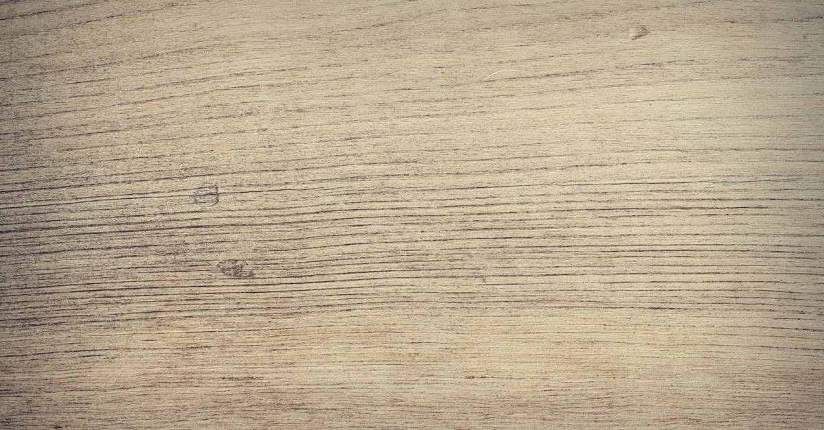 découvrez nos conseils et techniques efficaces pour retirer facilement le lambris mural (paneling removal) de votre intérieur. guide étape par étape pour un résultat professionnel et sans dommage.