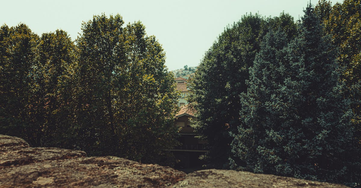 découvrez comment une extension de toiture peut transformer votre maison en ajoutant de l’espace, de la lumière et de la valeur. conseils, idées designs et solutions adaptées à vos besoins.