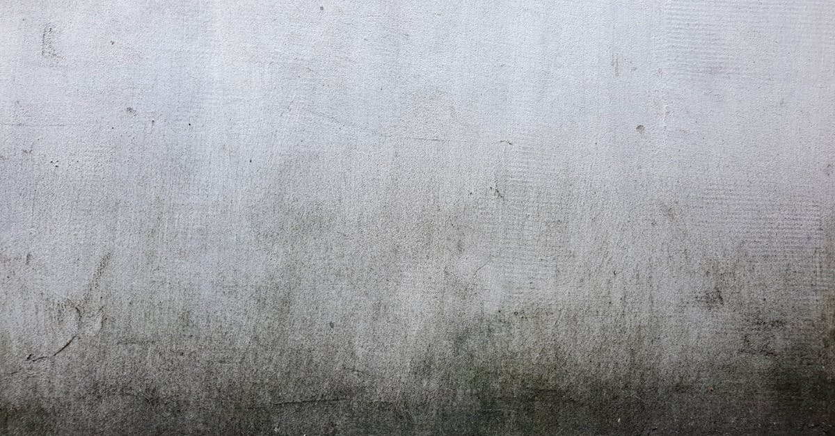 découvrez tout ce qu'il faut savoir sur le tyrolean plaster : une technique d'enduit décoratif qui apporte du caractère à vos murs intérieurs et extérieurs. conseils d'application, avantages et inspirations pour sublimer votre espace.