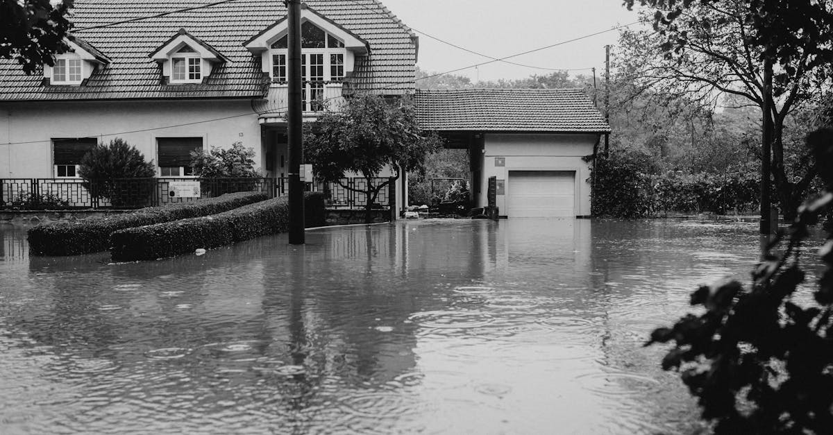 découvrez comment prévenir, détecter et réparer les dégâts des eaux dans votre maison. conseils d’experts, solutions efficaces et aides pour limiter les dommages et protéger votre bien-être.