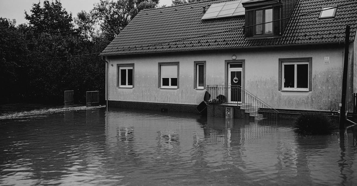 découvrez comment prévenir, identifier et réparer les dégâts des eaux dans votre maison grâce à nos conseils d’experts. solutions efficaces et astuces pour limiter les dommages et protéger votre habitat.