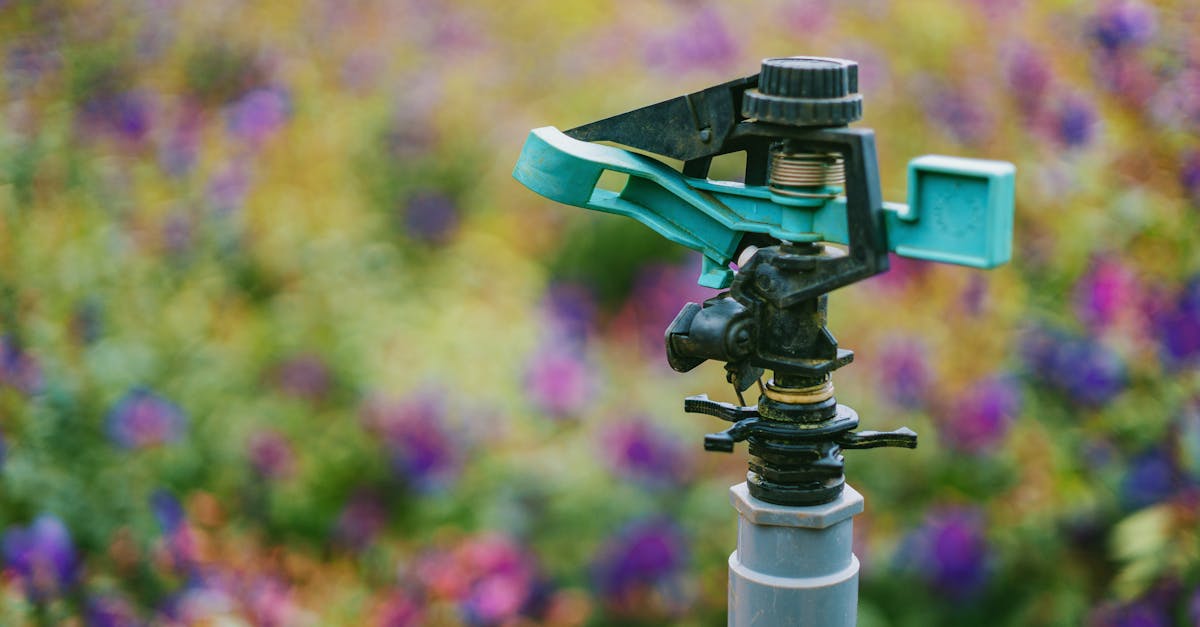 découvrez le coût de l’irrigation automatique : facteurs influençant le prix, avantages, conseils pour choisir le système adapté à votre jardin ou exploitation agricole.