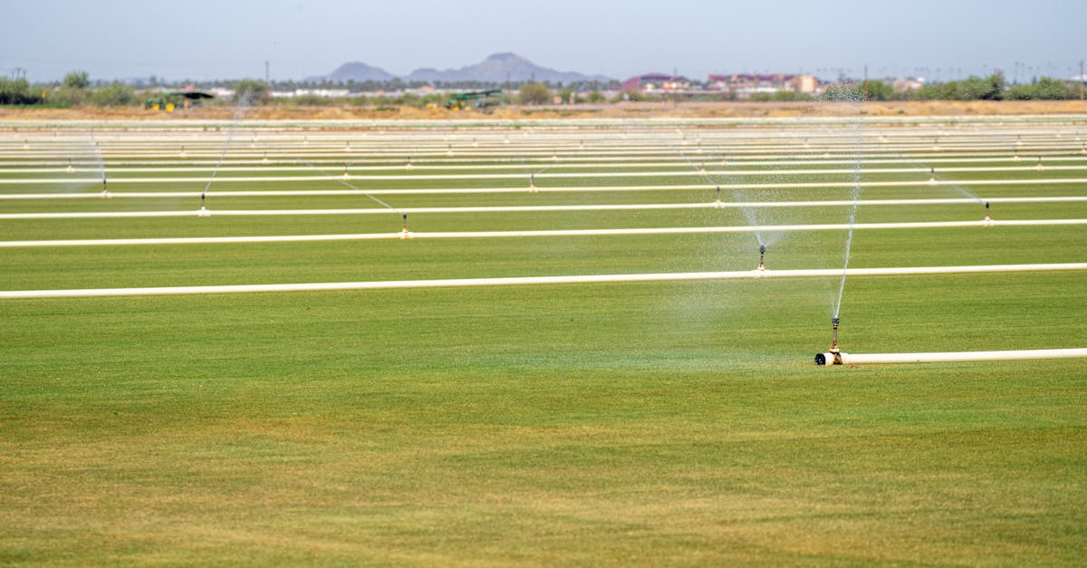 découvrez combien coûte l’installation d’un système d’irrigation automatique, les facteurs qui influencent le prix, ainsi que les avantages d’un arrosage optimisé pour votre jardin ou votre exploitation agricole.