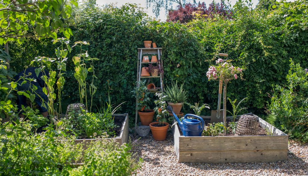 Atelier du Jardin, le paysagiste à Vanves spécialiste des jardins de ville