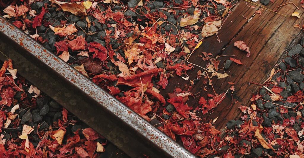 Le gravier de cave : guide complet sur les prix, les bénéfices, les inconvénients, l’installation, l’entretien, l’épaisseur et nos conseils de choix. découvrez comment choisir et utiliser le gravier pour votre sous-sol afin d’assurer un drainage efficace, prévenir l'humidité et renforcer la structure de votre habitation. conseils d’experts et astuces pratiques inclus.