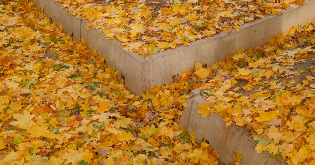 découvrez les cloisons en béton : des solutions robustes, esthétiques et durables pour séparer vos espaces intérieurs ou extérieurs. idéales pour l’isolation phonique et la sécurité.
