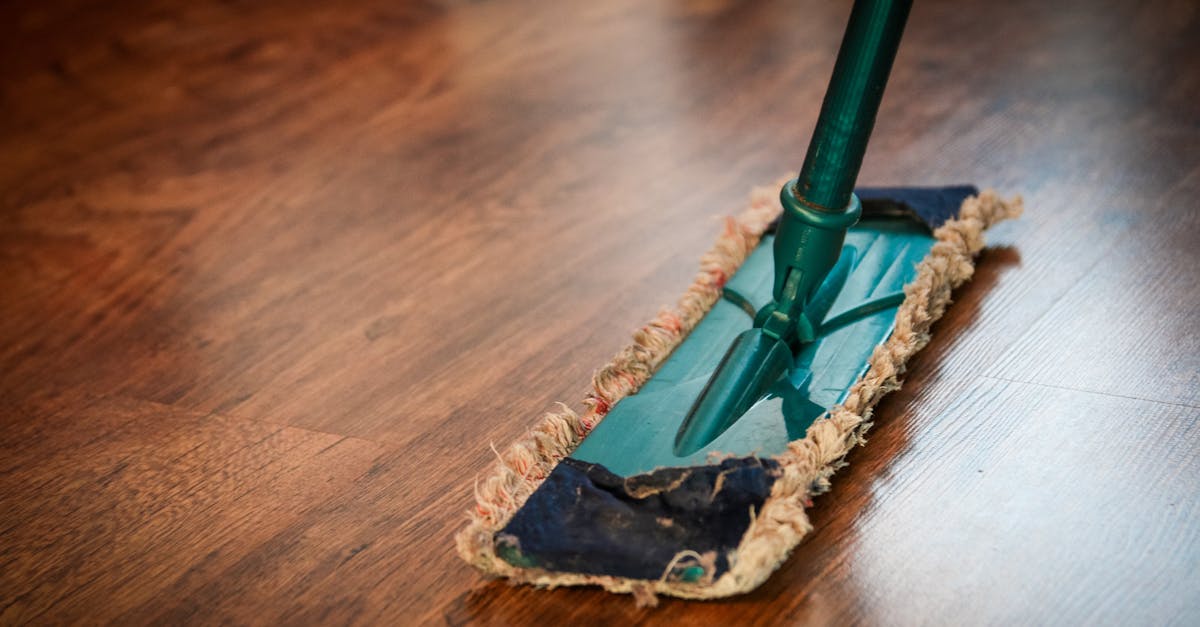 découvrez nos solutions de revêtement de sol : parquet, carrelage, vinyle, et bien plus. conseils, idées et tendances pour transformer et sublimer votre intérieur.