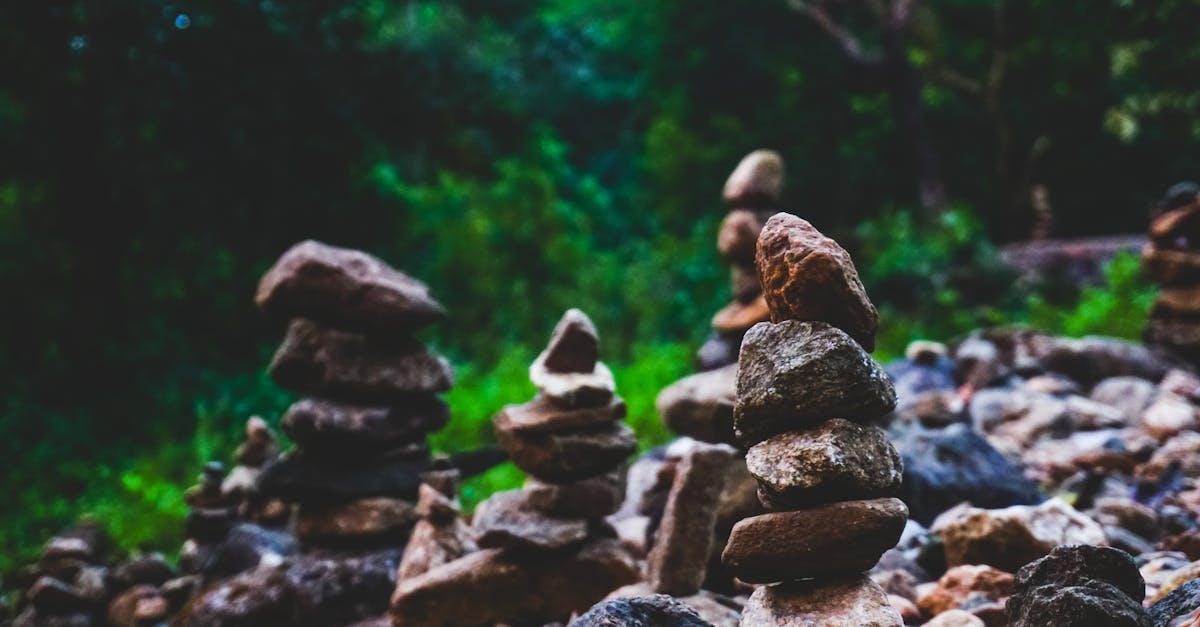 découvrez le grounding, une technique de recentrage efficace pour retrouver calme et sérénité en vous reconnectant à l'instant présent grâce à des exercices simples et naturels. idéal pour gérer le stress au quotidien.