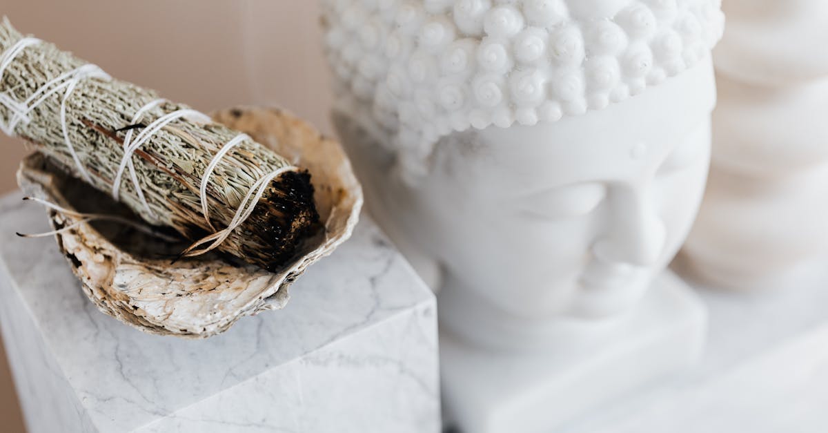 découvrez l'enduit isolant, une solution innovante pour améliorer l'isolation thermique et acoustique de votre habitat. facile à appliquer, il réduit les pertes de chaleur et optimise le confort de votre intérieur.