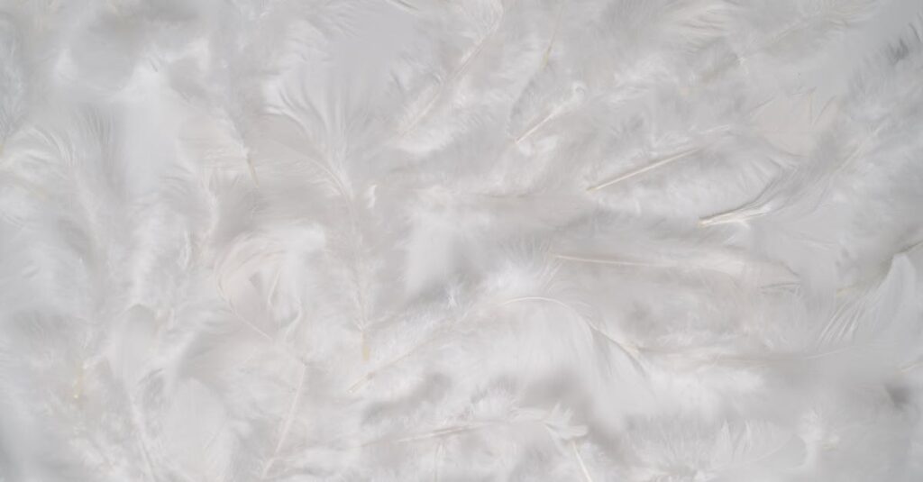 découvrez tout sur l'isolation : conseils, techniques et matériaux pour améliorer le confort thermique et réduire vos factures d'énergie dans votre habitation.