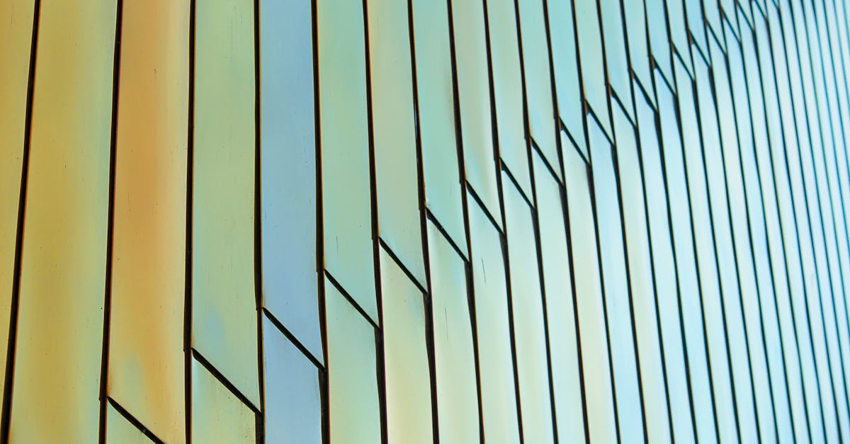 découvrez tout sur le revêtement en pvc : ses avantages, ses usages en intérieur et extérieur, et pourquoi il est une solution idéale pour moderniser et protéger vos surfaces. facile à poser, durable et esthétique !
