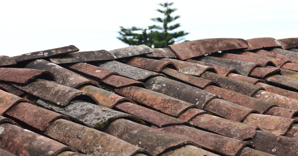 découvrez tout sur les bardeaux de toiture : types, avantages, installation et conseils d’entretien pour choisir la meilleure solution de couverture de toit adaptée à vos besoins.