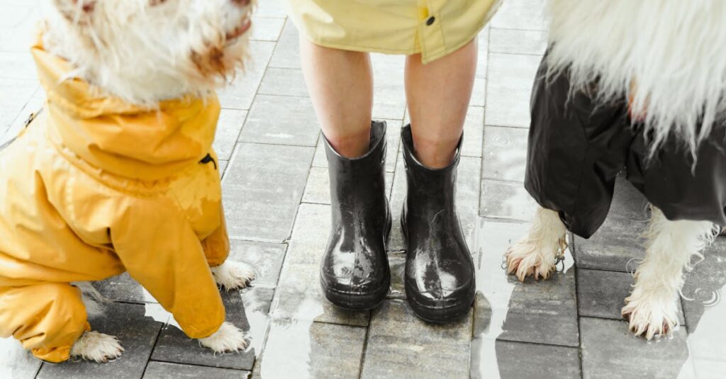 découvrez nos revêtements de sol waterproof, idéals pour toutes les pièces humides. robustes, faciles à entretenir et esthétiques, ils offrent une protection optimale contre l’eau et une longue durée de vie.
