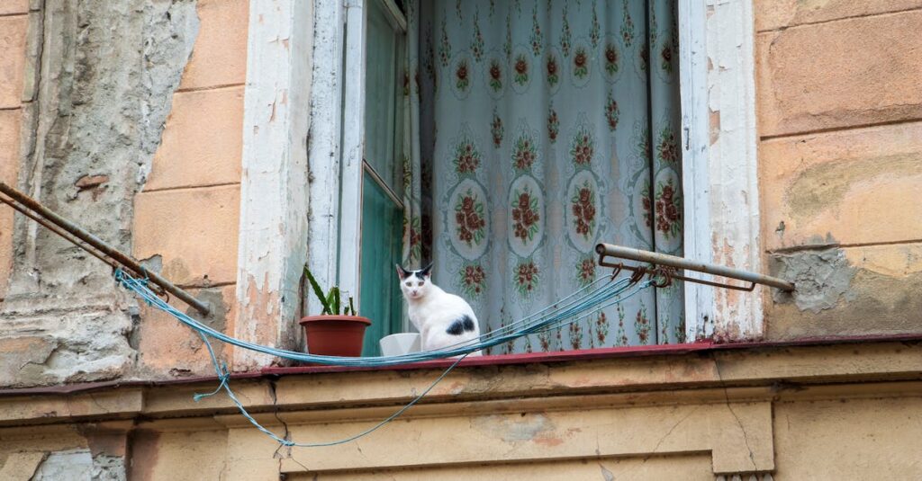 Tout savoir sur la peinture des rebords de fenêtres : coûts, avantages et conseils pratiques découvrez nos conseils et astuces pour peindre un appui de fenêtre. apprenez à choisir la bonne peinture, préparer la surface et obtenir une finition durable pour sublimer vos rebords de fenêtre.