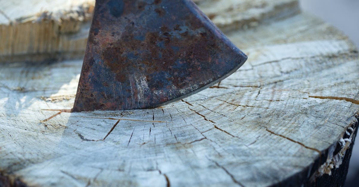 découvrez les différences entre les chaudières à bûches automatiques et manuelles pour choisir la solution de chauffage la mieux adaptée à vos besoins.