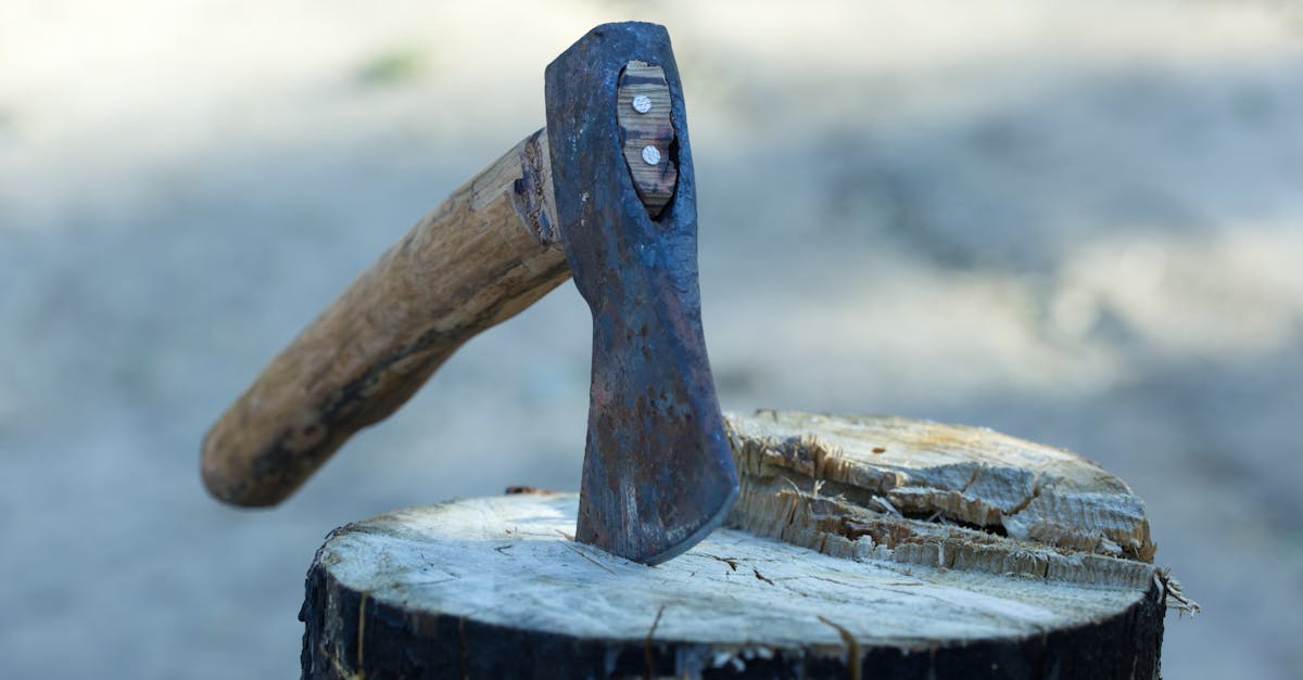 découvrez les différences entre les chaudières à bûches automatiques et manuelles pour choisir la solution de chauffage la plus adaptée à vos besoins.