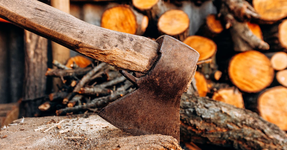 découvrez les différences entre chaudières à bois automatiques et manuelles pour choisir la solution de chauffage la mieux adaptée à vos besoins.