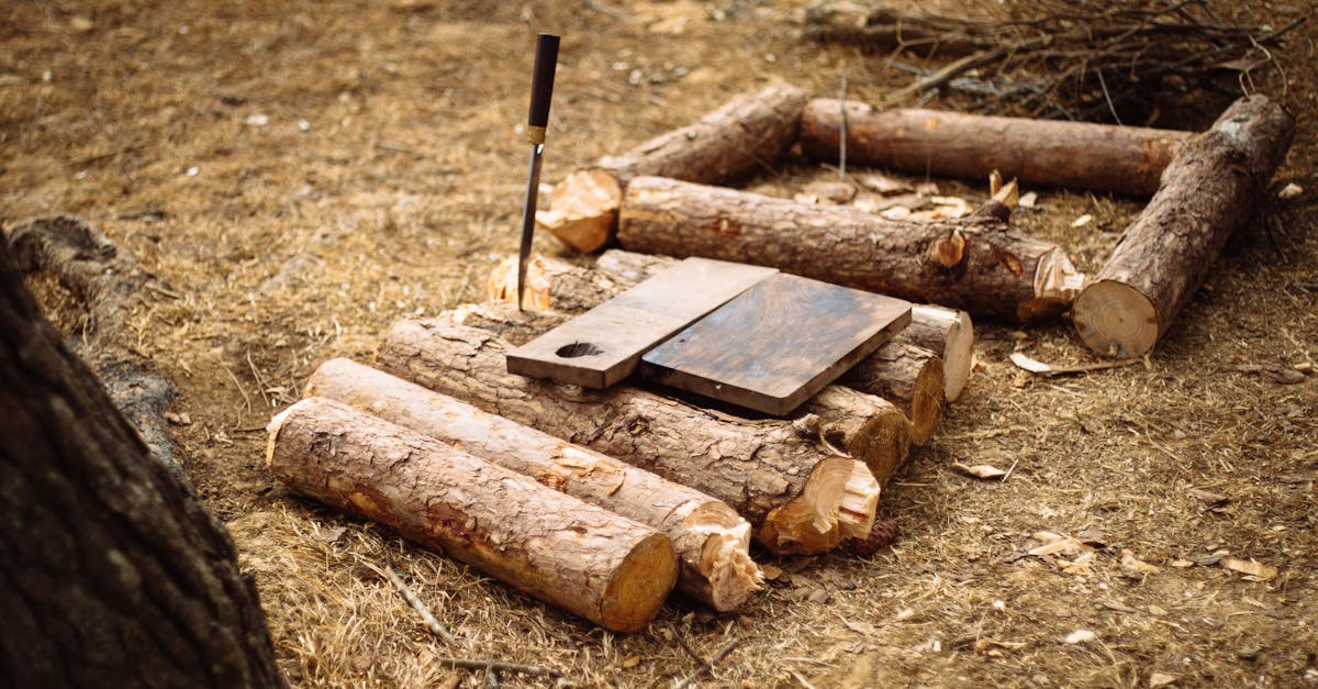 découvrez les différences entre les chaudières à bûches automatiques et manuelles pour choisir le système de chauffage le plus adapté à vos besoins.