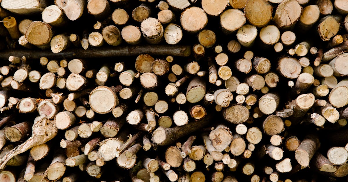 chaudière à biomasse : solution écologique et économique pour le chauffage durable, utilisant des matières organiques renouvelables.