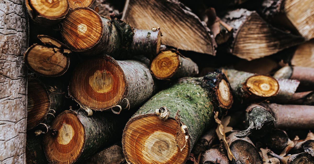 chaudière à biomasse : système de chauffage écologique utilisant des matières organiques renouvelables pour une énergie durable et économique.