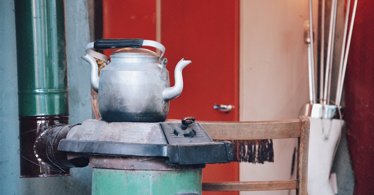 découvrez notre chaudière à biomasse performante, économique et écologique, idéale pour chauffer votre maison tout en réduisant votre empreinte carbone.