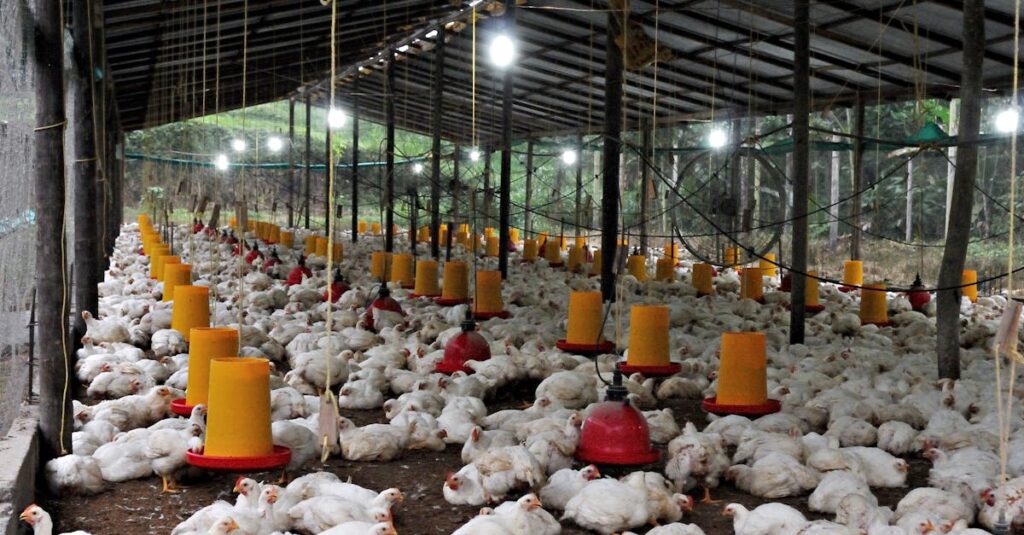 Comment déterminer la puissance d’une chaudière et conseils pratiques pour bien choisir guide complet pour le dimensionnement des chaudières : choisissez la taille adaptée à vos besoins pour une efficacité énergétique optimale et un confort maximal.