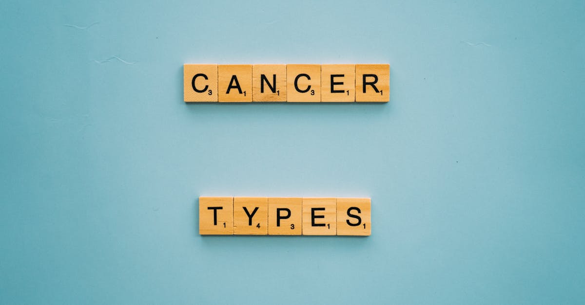 découvrez les différents types de chaudières, leurs avantages et comment choisir la meilleure option pour votre chauffage domestique.