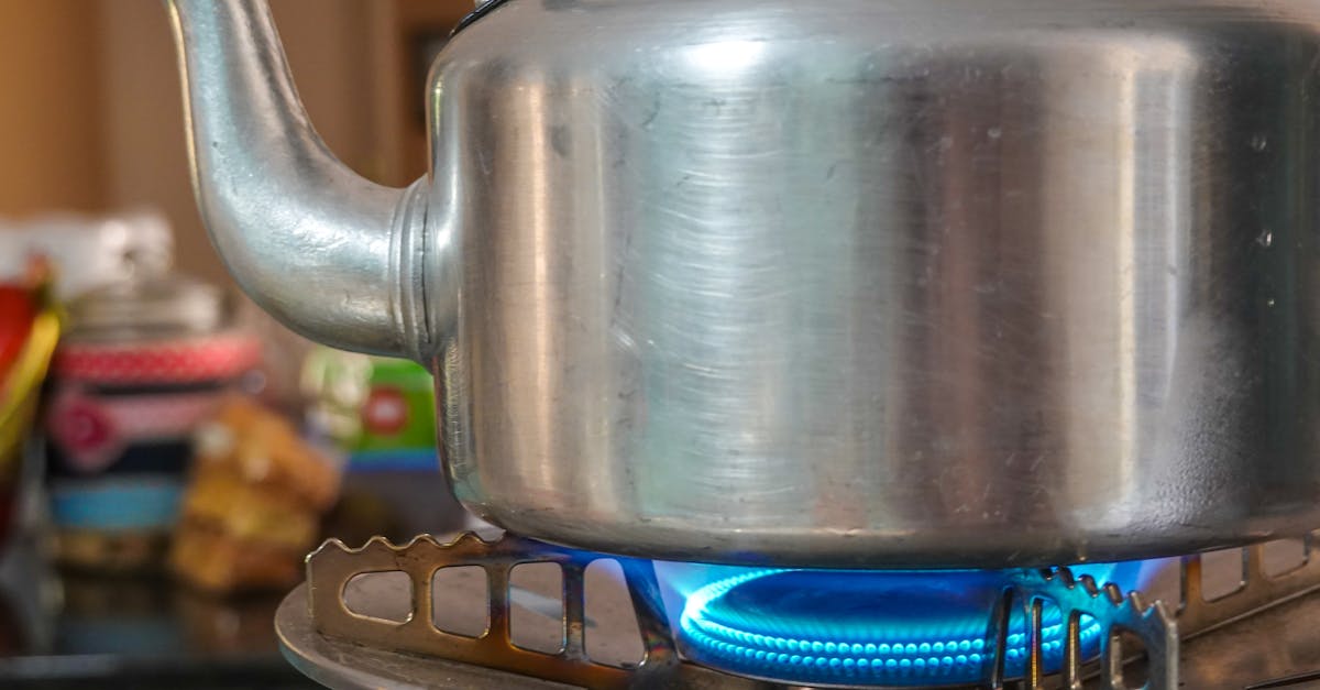 découvrez comment dissimuler votre chaudière pour un intérieur plus esthétique et fonctionnel. astuces et solutions pratiques pour cacher votre chaudière efficacement.