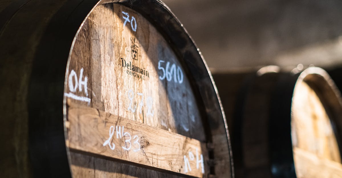 découvrez nos solutions pour dissimuler votre chaudière de manière esthétique et pratique, afin d'harmoniser votre intérieur tout en optimisant l'espace.