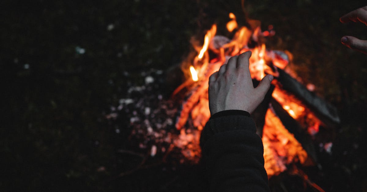 découvrez comment choisir la chaudière à bois adaptée à vos besoins pour un chauffage efficace et économique. guide complet de sélection de chaudières à bois.
