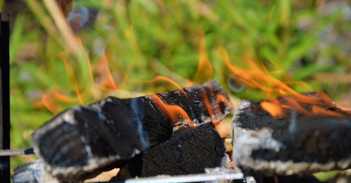 découvrez comment choisir la chaudière à bois idéale pour une énergie de chauffage efficace et écologique. conseils pour sélectionner votre chaudière à bûches adaptée à vos besoins.