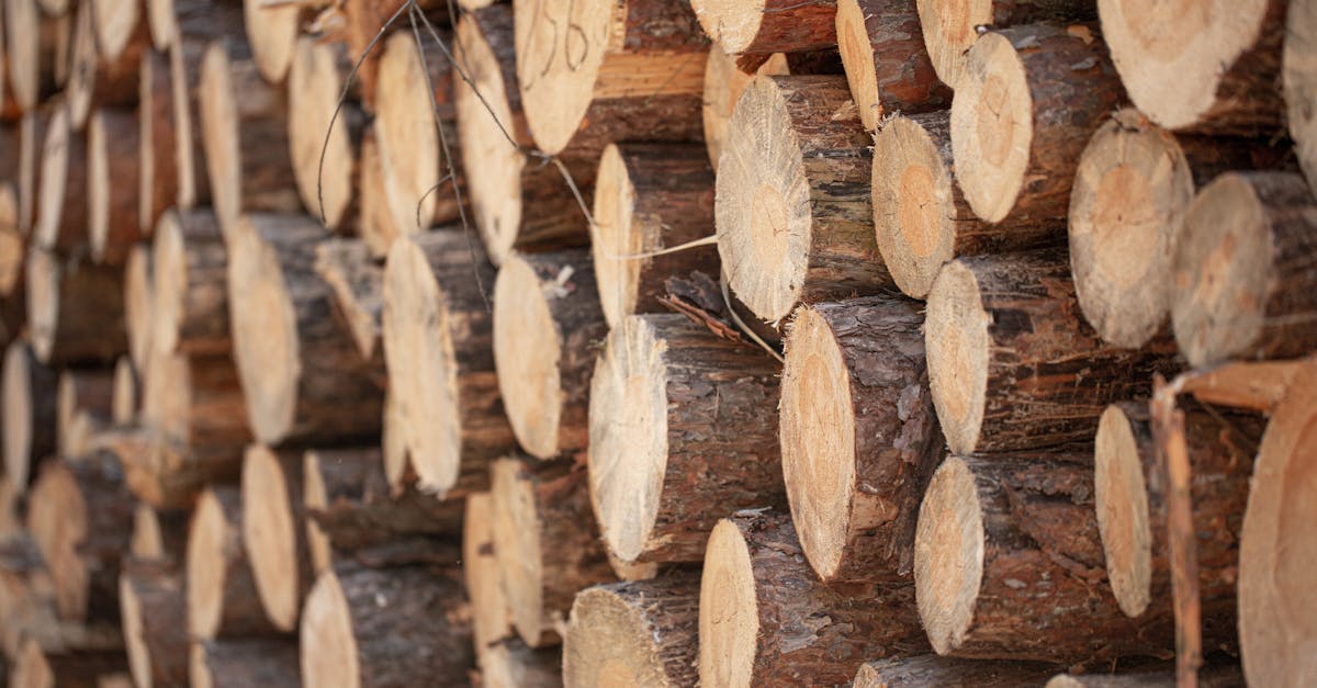 découvrez comment choisir la chaudière à bois la mieux adaptée à vos besoins pour une chaleur efficace et écologique.