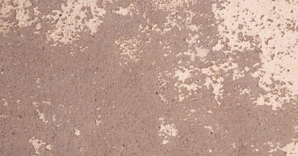 découvrez le grit plaster, un enduit abrasif de haute qualité idéal pour les travaux de finition et de déco, offrant une texture robuste et durable pour vos surfaces.