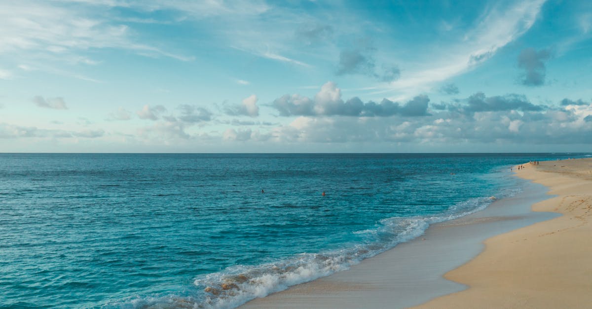 découvrez nos radiateurs à eau chaude alliant efficacité thermique et design élégant pour un confort optimal dans votre intérieur.